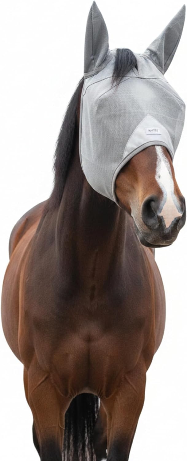 TUFFTEQ Cob Fly Mask with Ears front view on horse face showing gray mesh structure