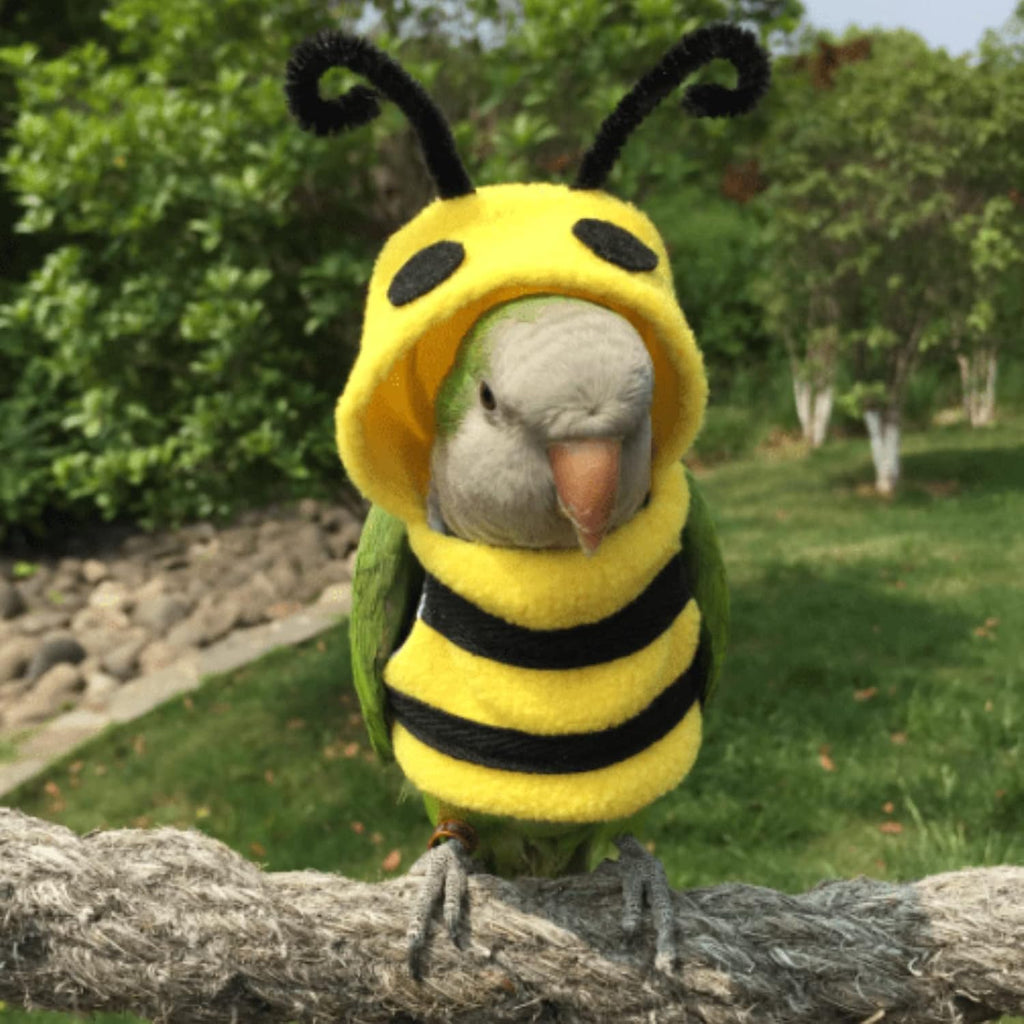 Bird Costume Diaper Flight Suit Bee Shape Clothes Cosplay Photo Prop for Parrots Lovebird Budgie Parakeet Cockatiel Sun Conure, Small Animals Apparel (Bee Without Diaper, Medium), Green (BPF1) - Image 9