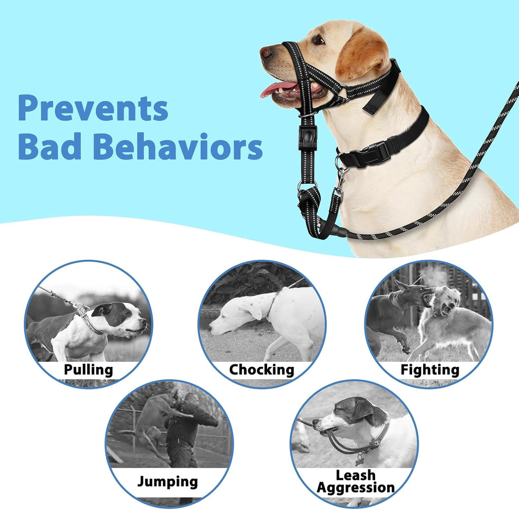 Side view of medium size Barkless dog nose leash
