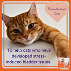 Feliway Cystease stress relief and bladder support capsule container