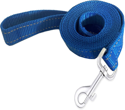 Durable high tensile strength nylon lead for puppy training