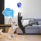 Sratte ghost hunting cat balls flashing in multiple vibrant colors for interactive play.