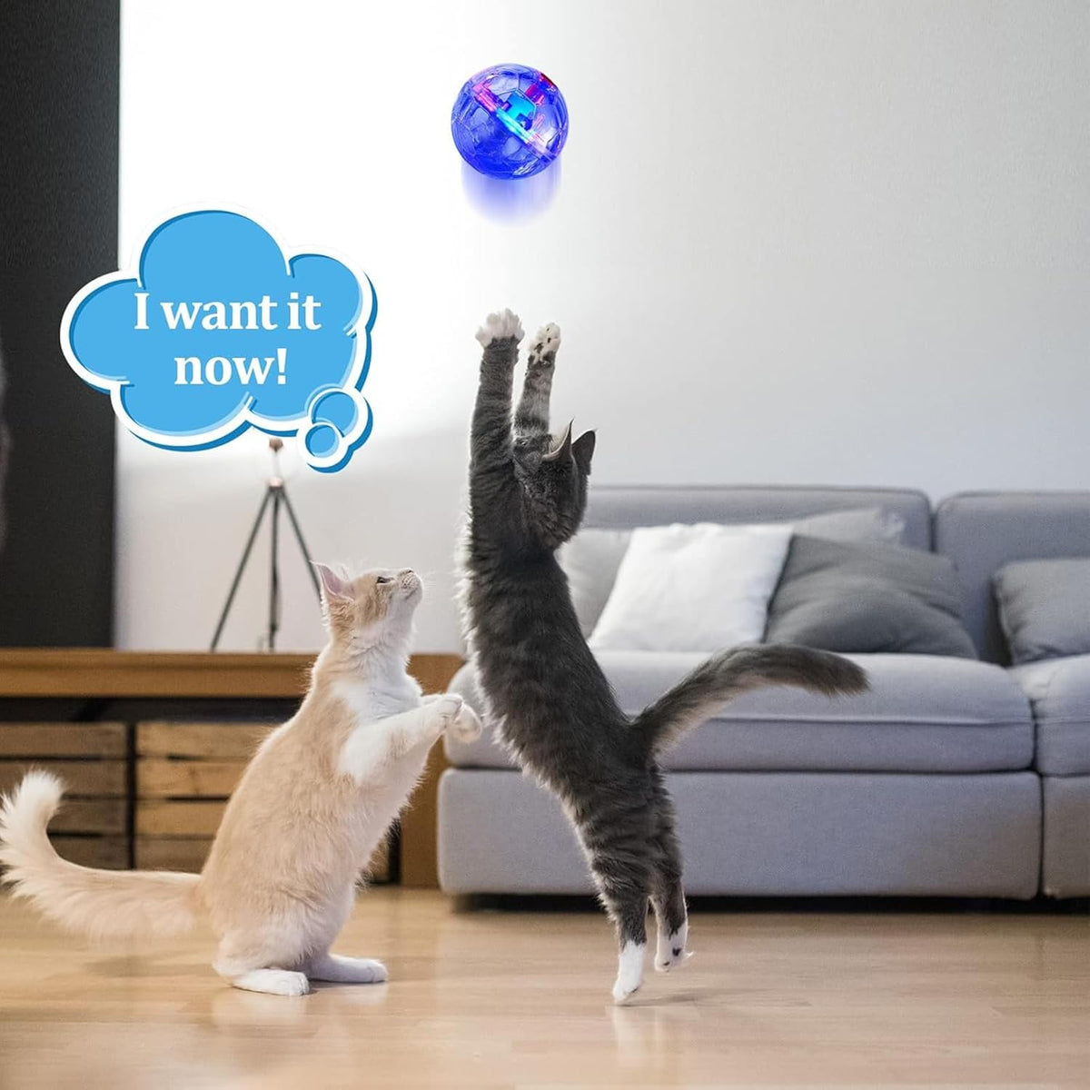 Sratte ghost hunting cat balls flashing in multiple vibrant colors for interactive play.