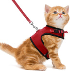 Pupteck premium imported USA pet harness on display for Indian pet owners