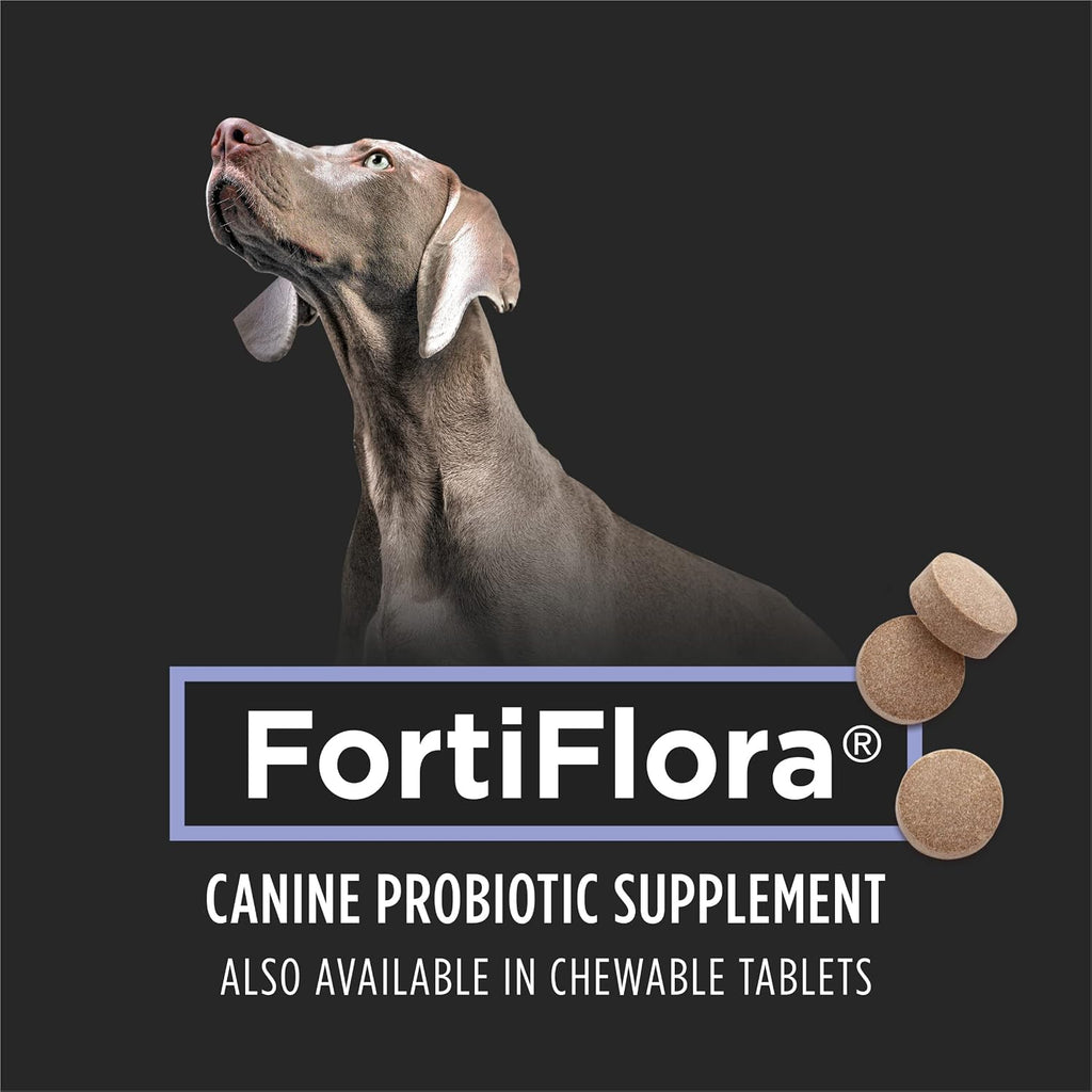 Close up of Purina FortiFlora dog supplement powder packet being sprinkled on canine food