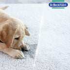 Dr. Beckmann 650ml bottle for upholstery and carpet stain removal