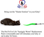 Pet Fit For Life cat toy accessories set in package