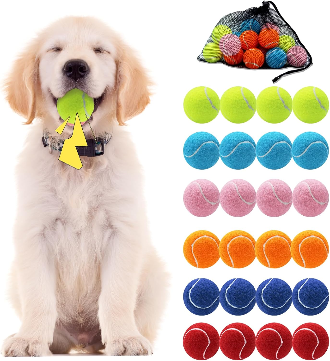 Swingers squeaky tennis ball set with drawstring carry bag