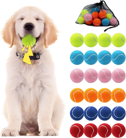 Swingers squeaky tennis ball set with drawstring carry bag