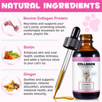 Close up of Vosifsdiy cat collagen drops with glass dropper showing salmon liquid