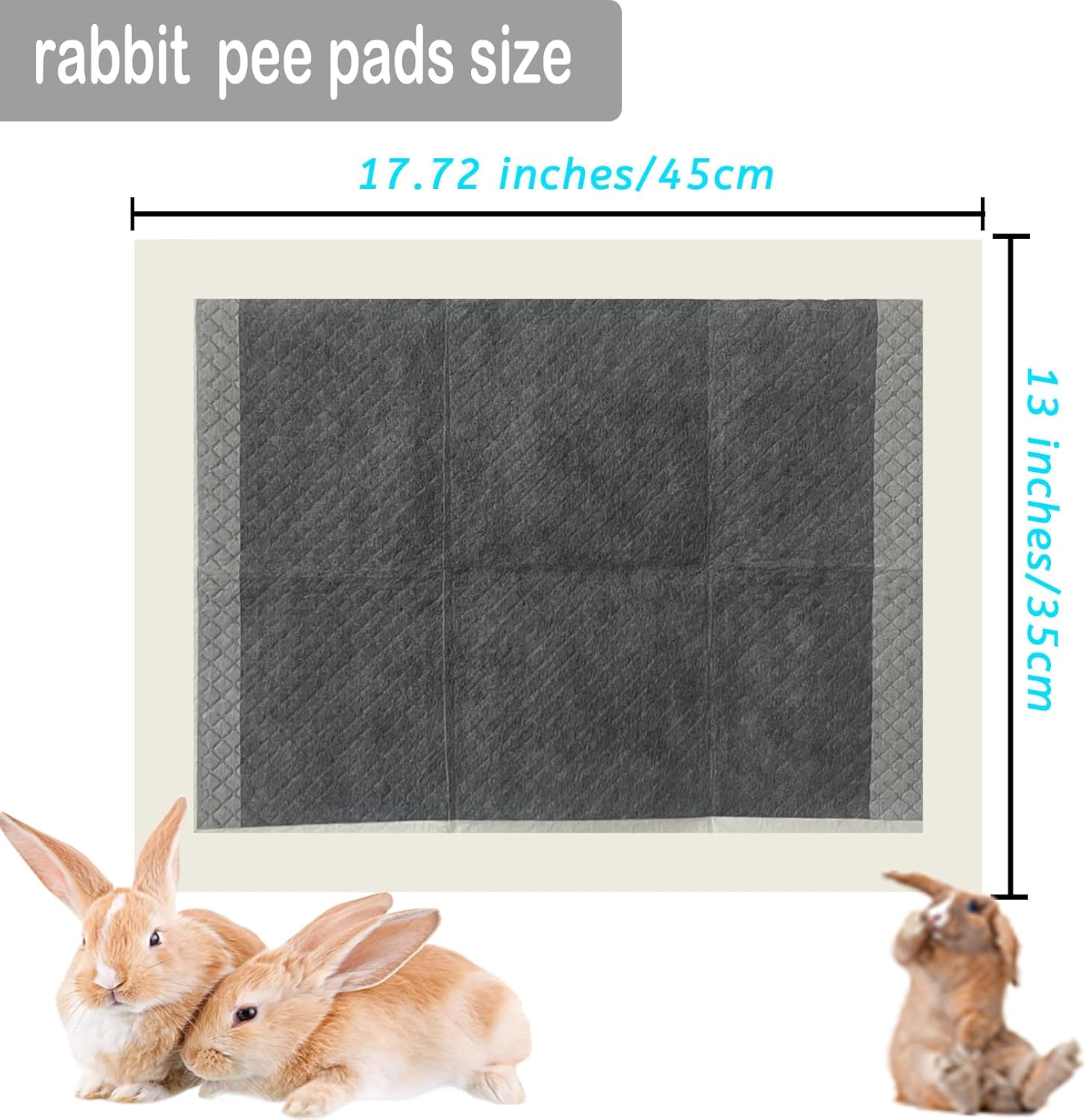 Comparison of rabbit pee pad size inside a pet carrier