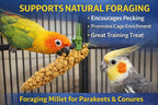 Birds LOVE natural spray millet hanging inside a bird cage