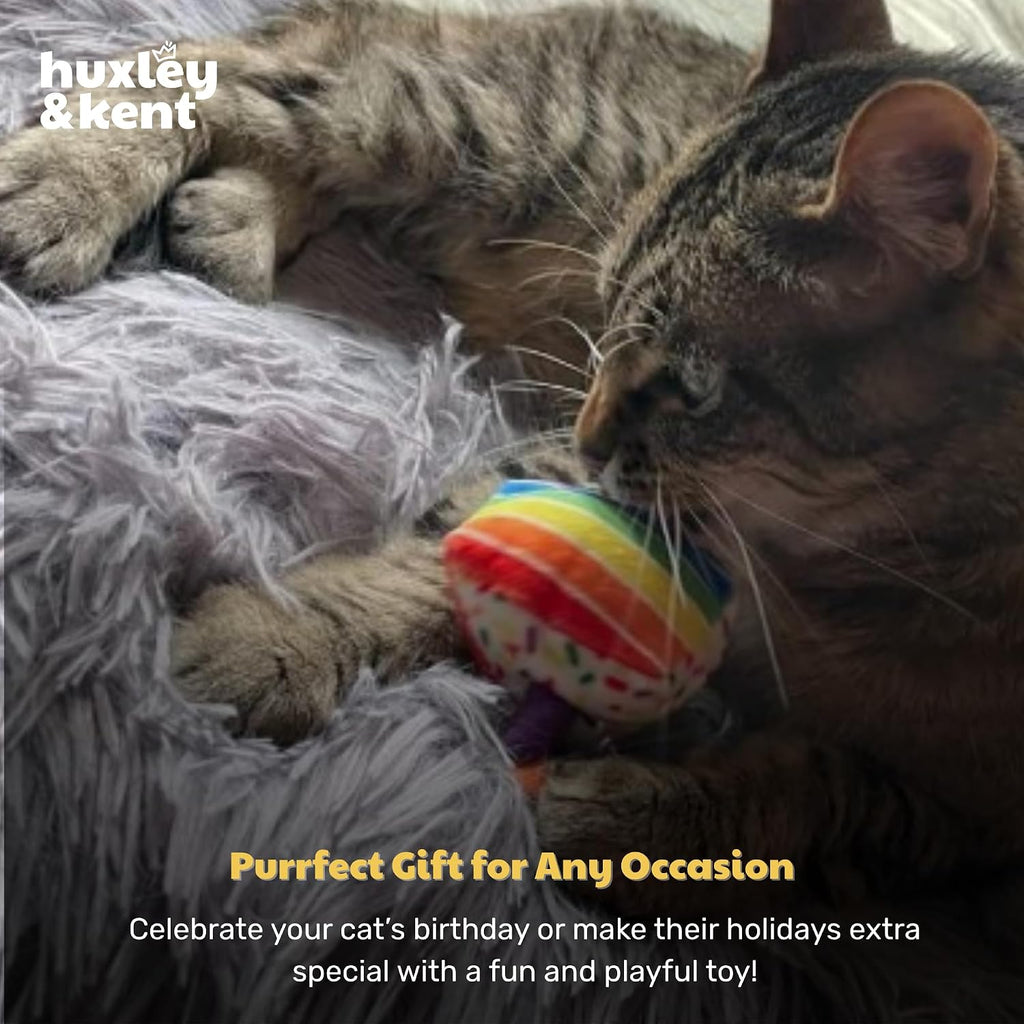 A detailed layout highlighting the two point five inch dimensions of the funfetti cake cat plush.