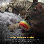 A detailed layout highlighting the two point five inch dimensions of the funfetti cake cat plush.