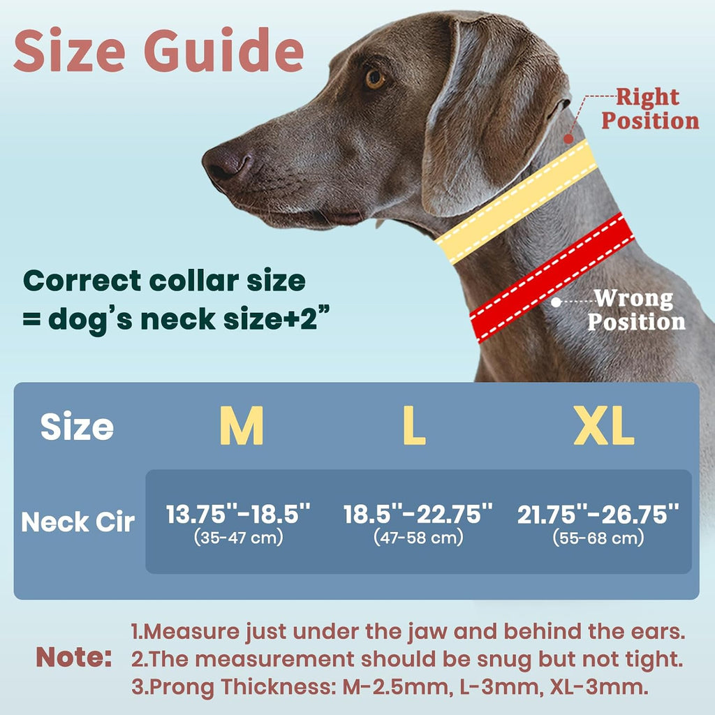 Mayerzon dog collar inner chain link mechanism