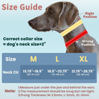 Mayerzon dog collar inner chain link mechanism
