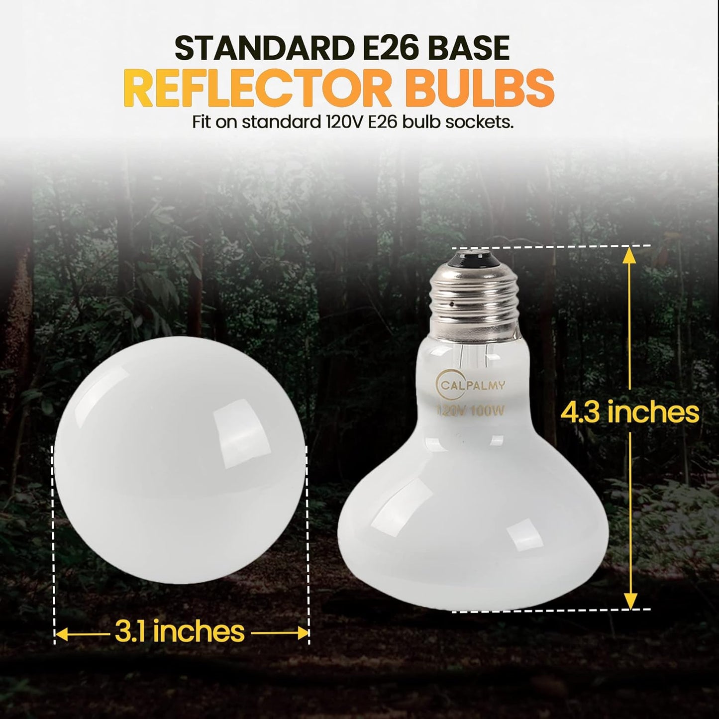 Calpalmy terrarium warming light bulbs for turtles and lizards