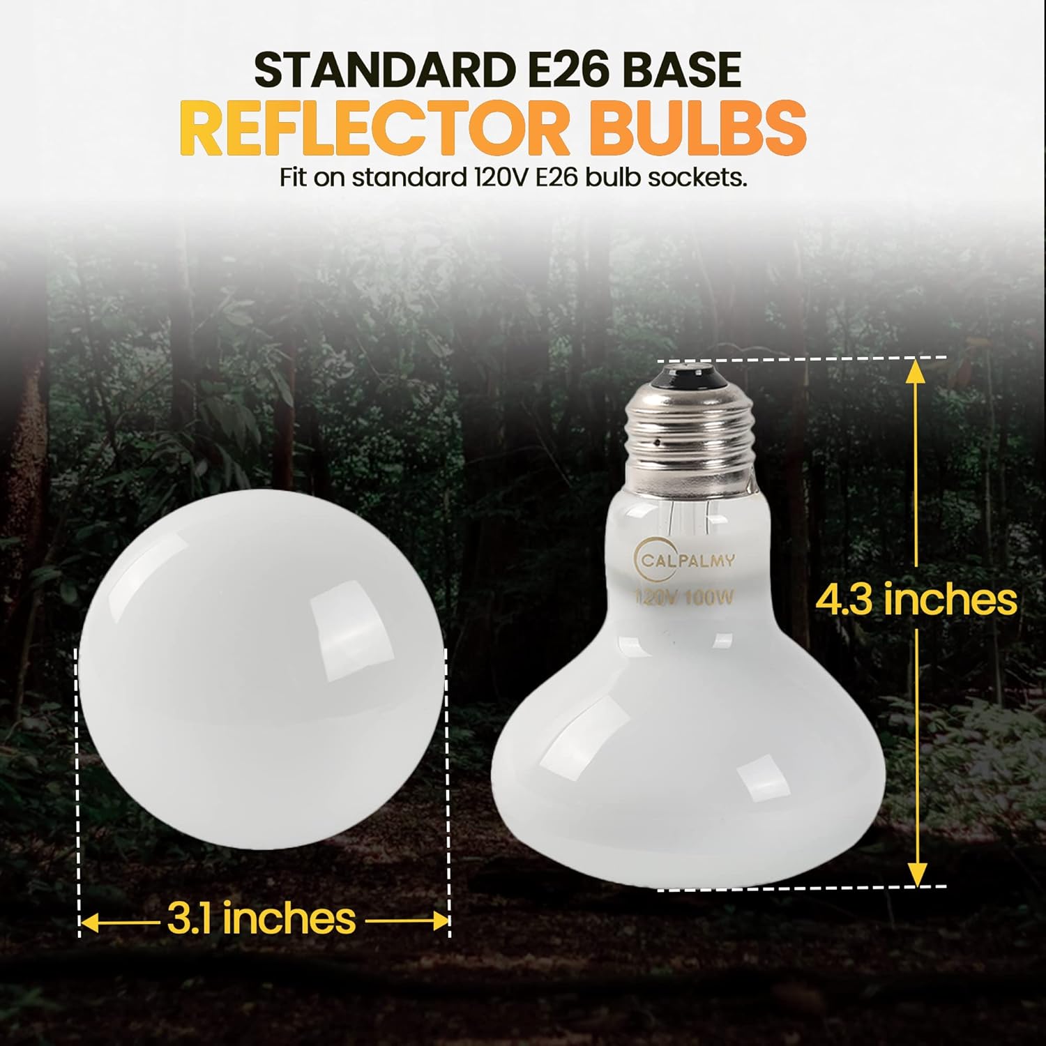 Calpalmy terrarium warming light bulbs for turtles and lizards