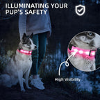 Small toy breed dog wearing bright pink glowing collar at night