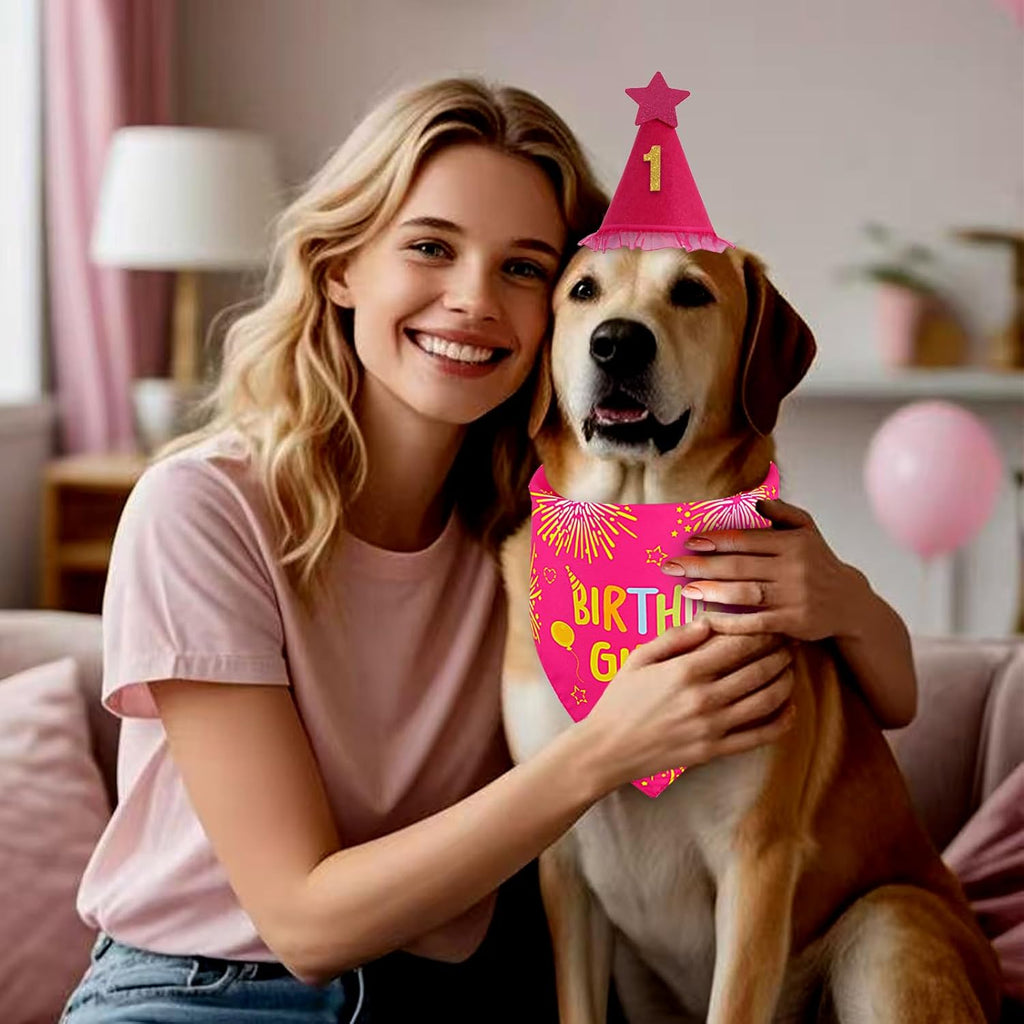 Agroon festive pink dog birthday hat with star detail