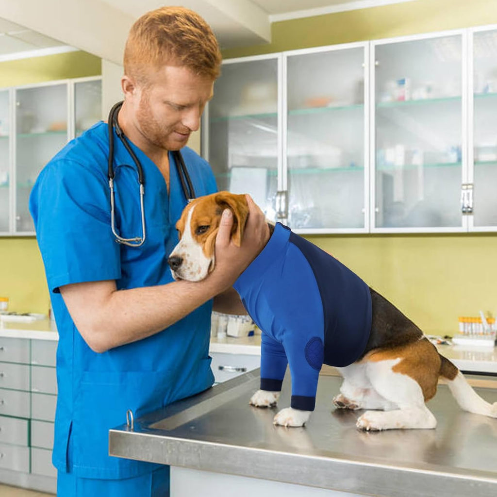 LeLePet joint protector sleeve side profile view on a resting dog