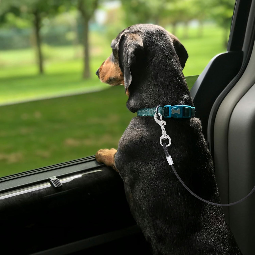 Heavy duty hardware on Mogoko vehicle pet restraint system