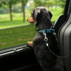 Heavy duty hardware on Mogoko vehicle pet restraint system
