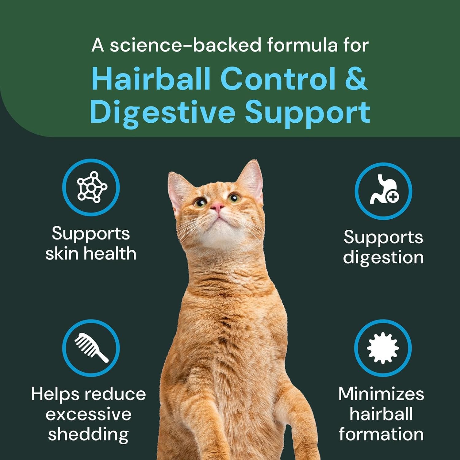Premium grain free feline digestive health powder with psyllium husk
