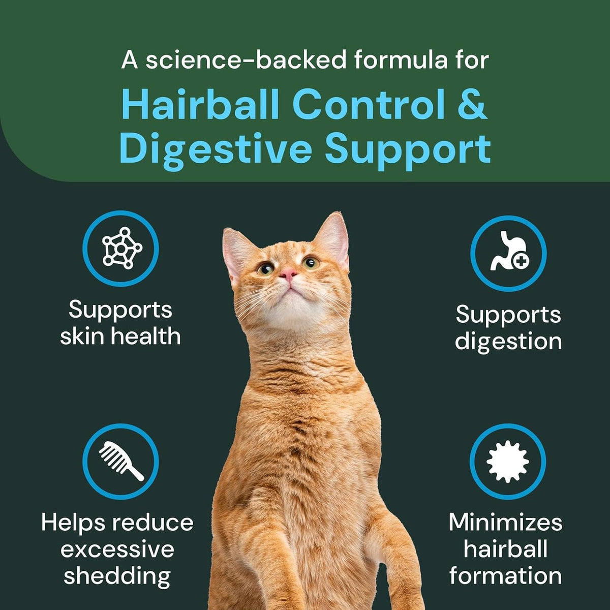 Premium grain free feline digestive health powder with psyllium husk