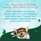 Close up of Vet's Best enzymatic dental gel tube for dogs