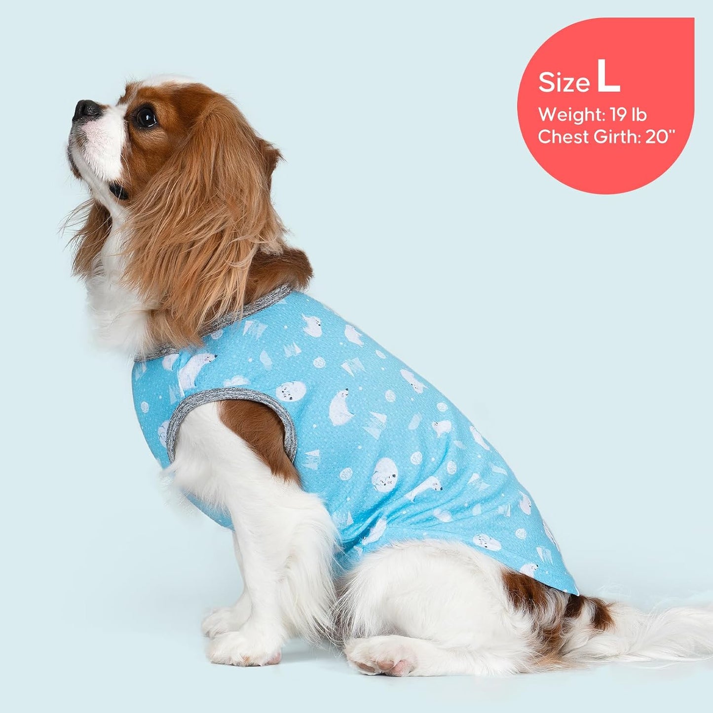 Kyeese pet clothing size medium demonstration