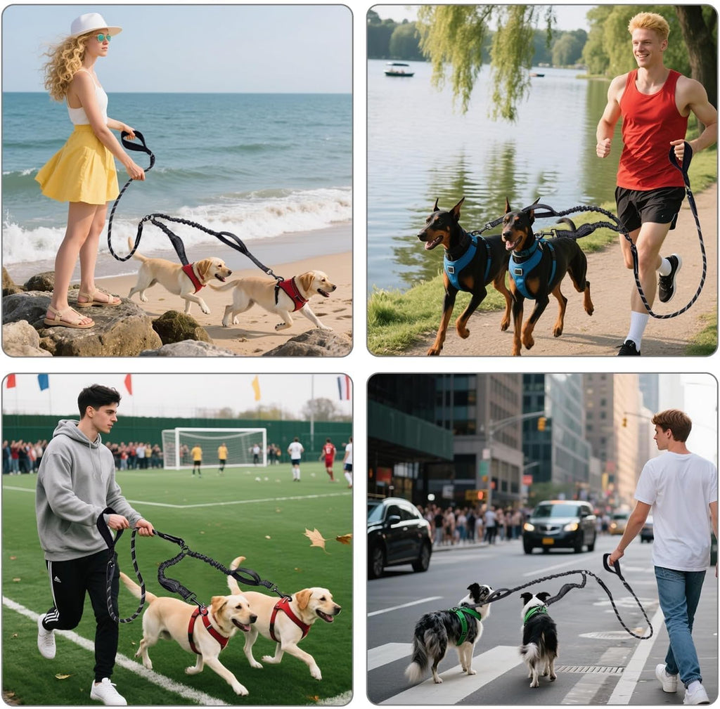 Tangle free double dog walking system with integrated accessory D ring