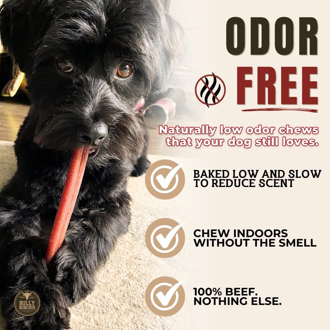 Rawhide free fully digestible safe dog chew bones for oral health