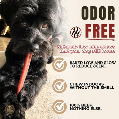 Rawhide free fully digestible safe dog chew bones for oral health