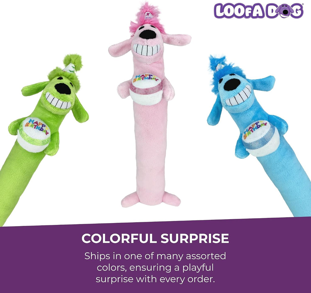 Close up of birthday hat on Multipet Loofa dog toy