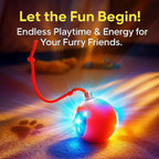 Smart rolling pet ball with tail rope in action