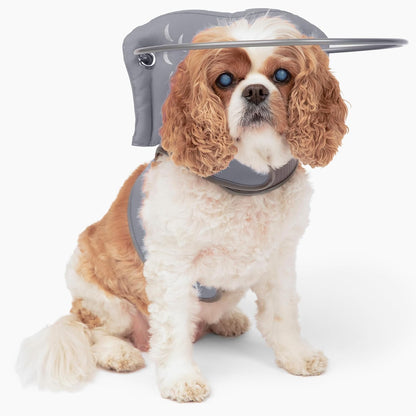 Muffin's Halo(R) - The Original Blind Dog Halo | Harness & Bumper Collar Accessory for Safe Navigation & Confidence - Blue, Size 5 - Image 9
