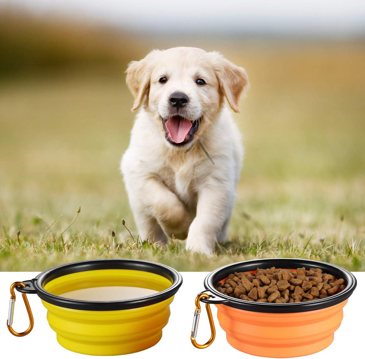 Compact travel pet feeding accessories set displayed flat to showcase space saving features