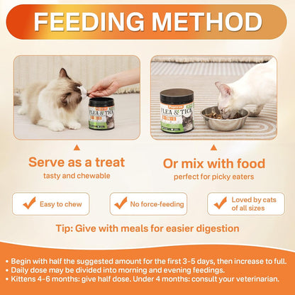 Close up of the USA imported Puyrzoe cat chewable supplement container focusing on the 6 strain probiotic blend.