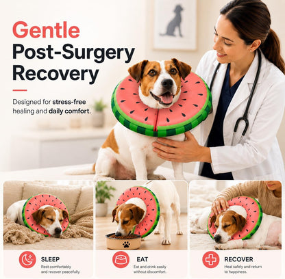 Adjustable soft protective recovery cone collar with metal buckle