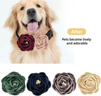 Assorted vibrant colored chiffon floral accessories for small and large pet grooming