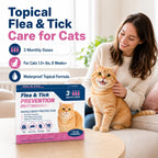 Zencar spot on cat flea treatment applicator tube being prepared for application