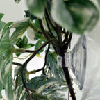 Close-up of plastic foliage texture for bearded dragon tanks