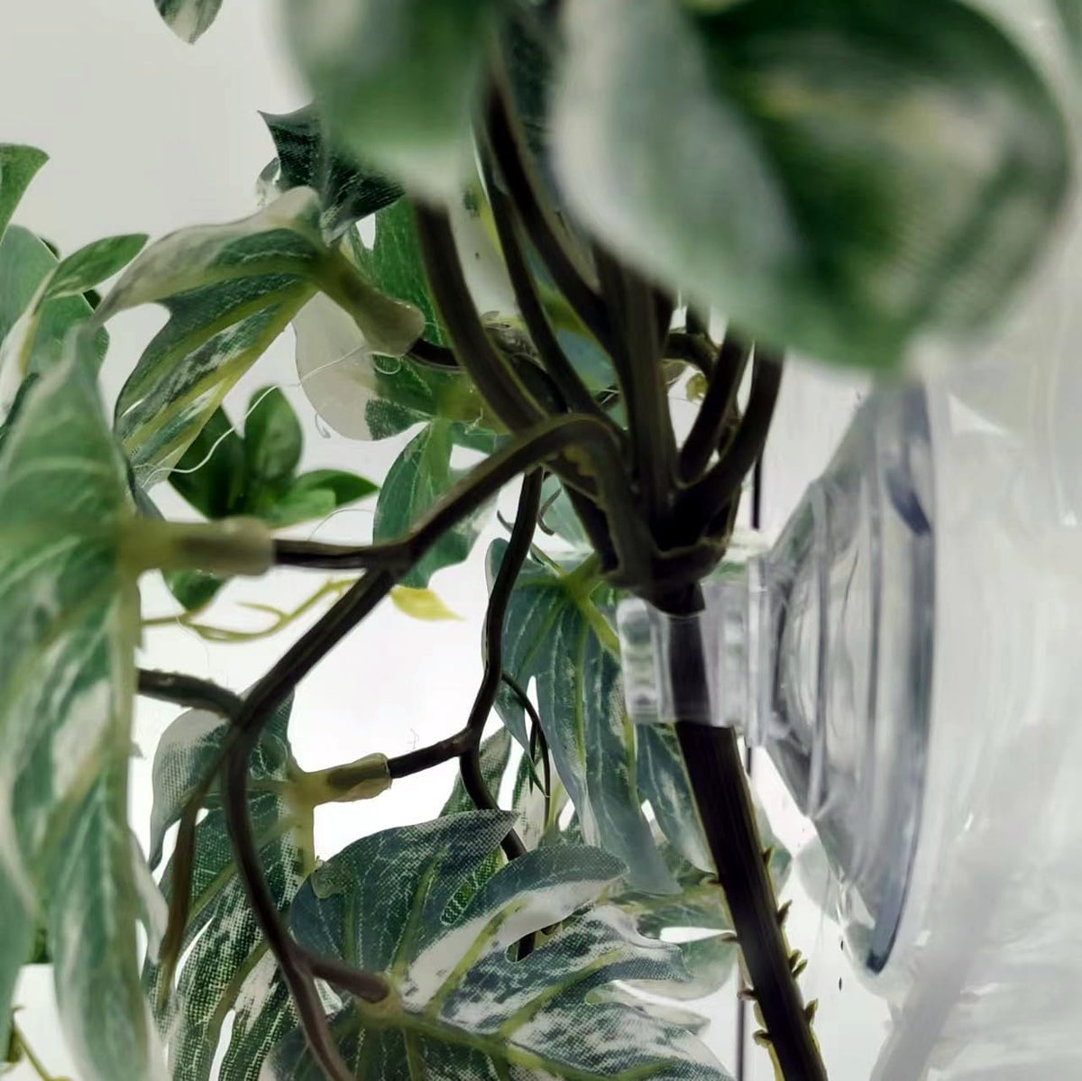 Close-up of plastic foliage texture for bearded dragon tanks
