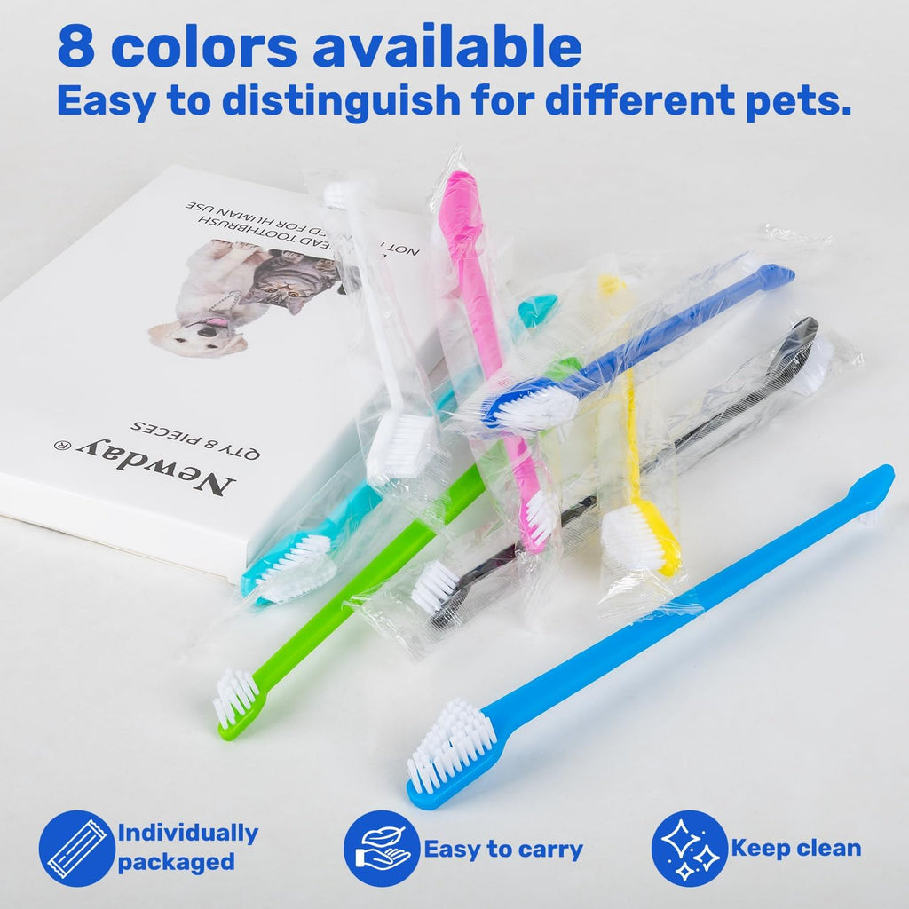 Using Newday dual headed toothbrush for small dog dental care