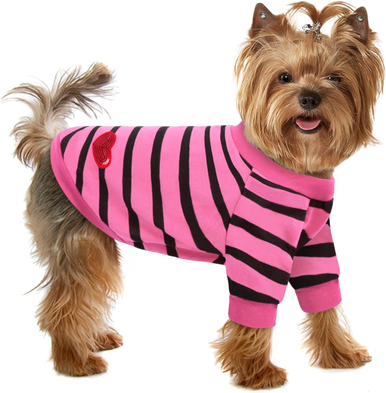 Pet Dog Striped T-Shirt Dogs Cats Cotton Vest Spring Summer Pet Apparel Tee Shirt Suitable for Small and Medium Large Pets French Bulldog Bichon - Image 14