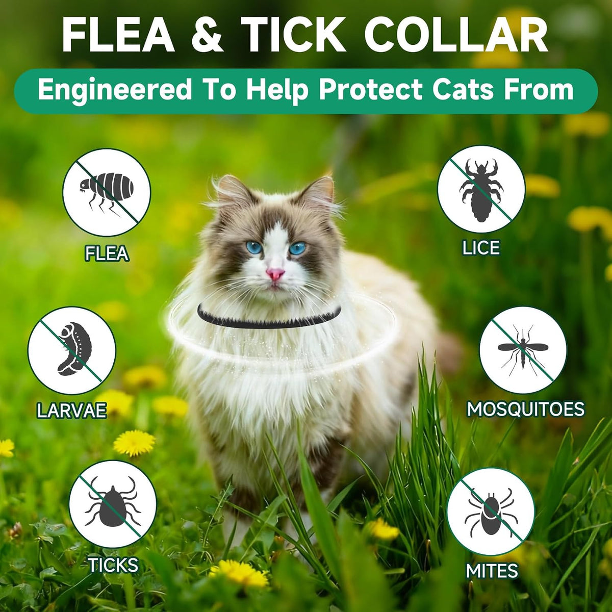 Close up of the adjustable buckle on the cat flea collar
