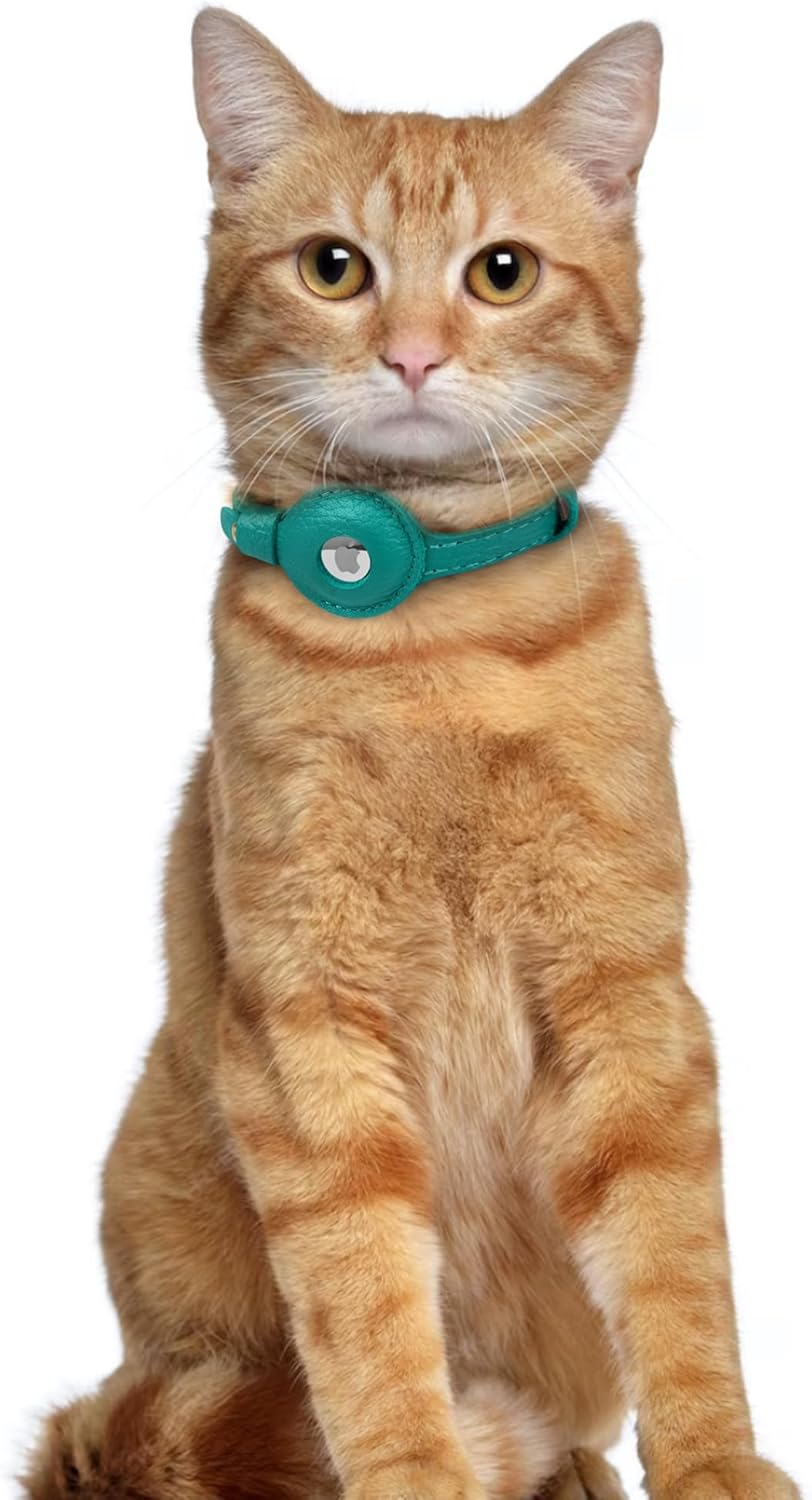 Teal blue OOPSDOGGY leather tracking collar for small dogs and cats.