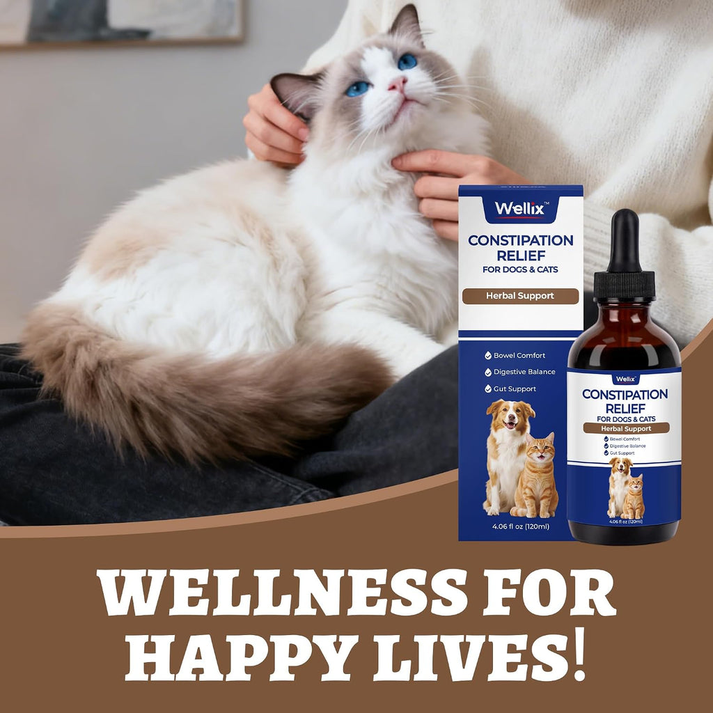 Premium 120ml pet gut health supplement bottle for cats and dogs