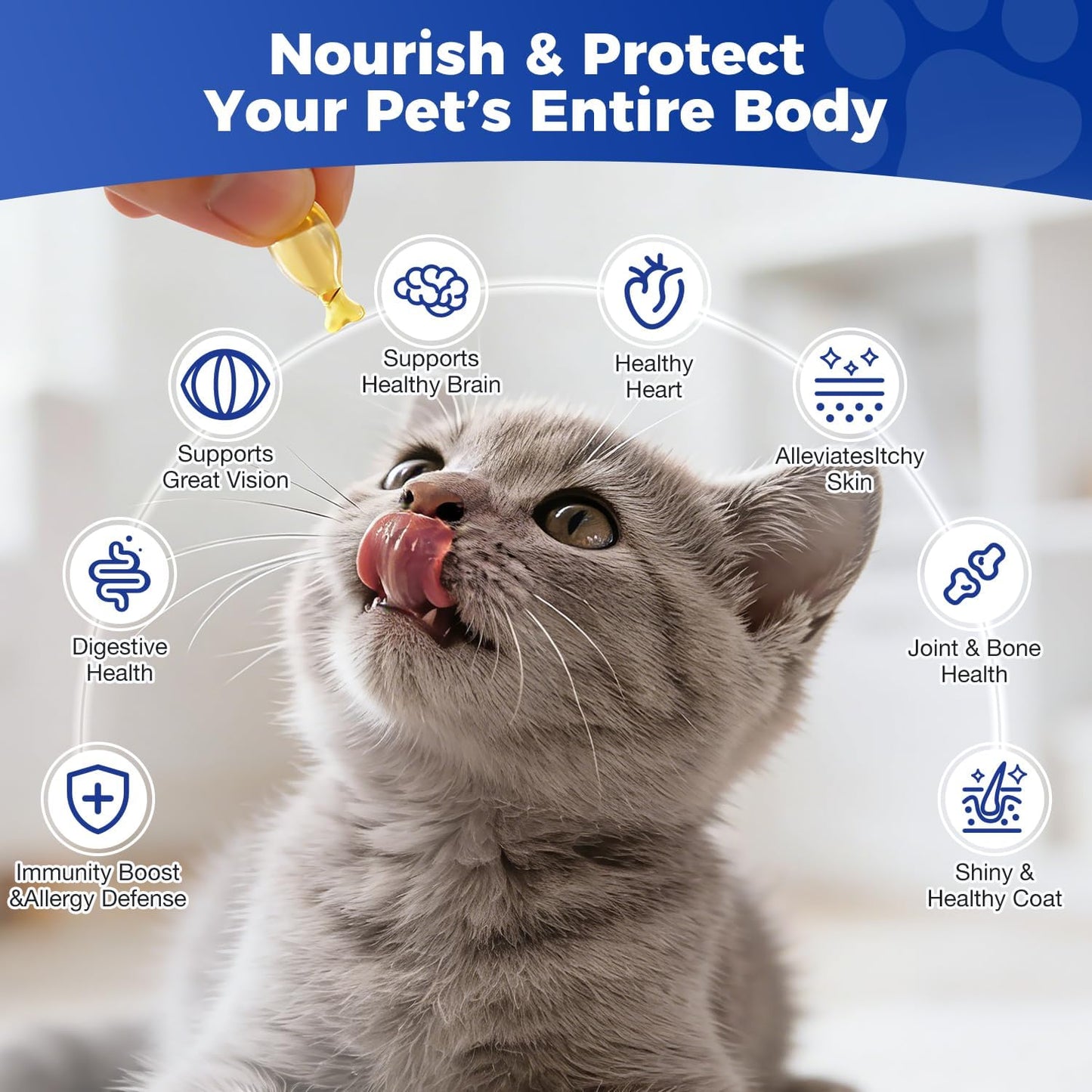 Salmon flavor cat skin and coat care supplement label information